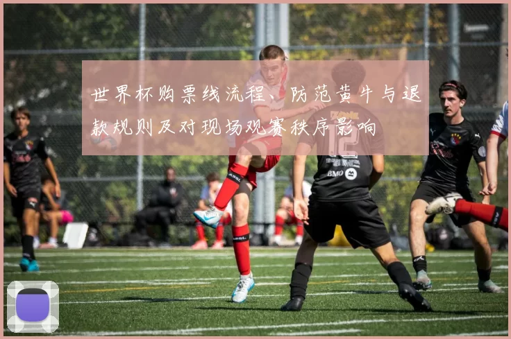 世界杯购票线流程、防范黄牛与退款规则及对现场观赛秩序影响