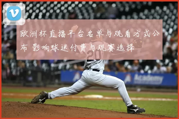 欧洲杯直播平台名单与观看方式公布 影响球迷付费与观赛选择