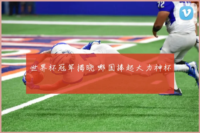 世界杯冠军揭晓 哪国捧起大力神杯