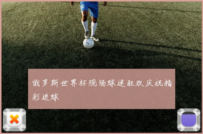 俄罗斯世界杯现场球迷狂欢庆祝精彩进球