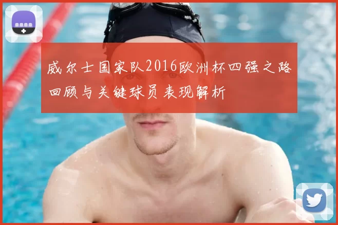 威尔士国家队2016欧洲杯四强之路回顾与关键球员表现解析