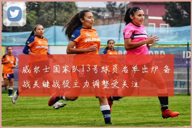 威尔士国家队13号球员名单出炉 备战关键战役主力调整受关注